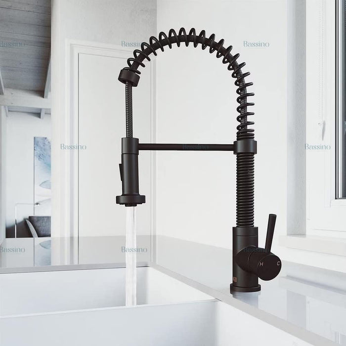 BASSINO Kitchen Faucet Brass Single Lever Kitchen Sink Tap Faucet Mixer Tap Pullout Sprayer with Multi-Function Spray Head Technology Sink Faucet 360° Rotatable Kitchen Water Tap (Black) BTT-2100